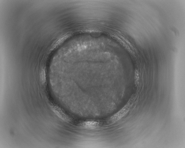 X0000115340158200911301555