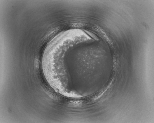 X0000115340161200911301555