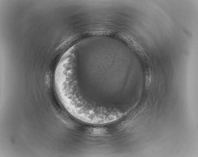 X0000115340165200911301555