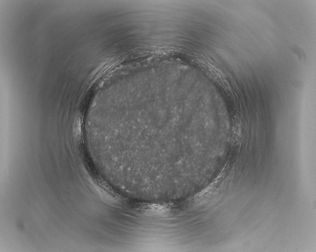 X0000115340166200911301555