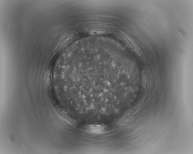 X0000115340169200911301555