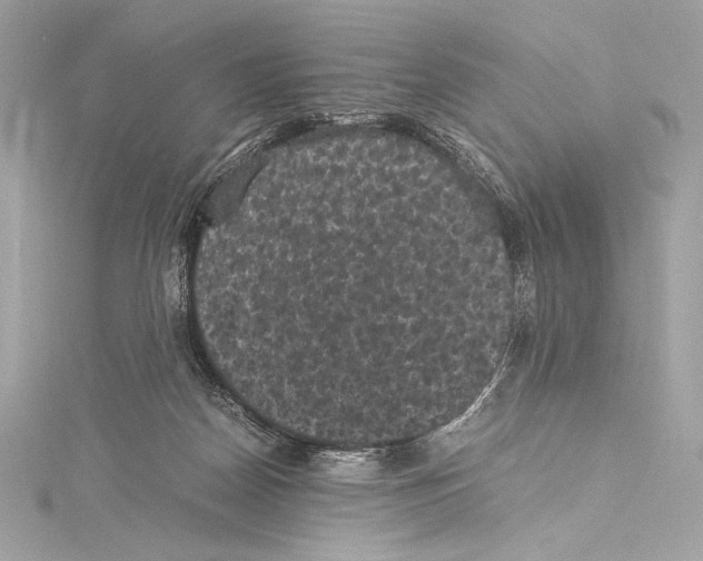 X0000115340170200911301555