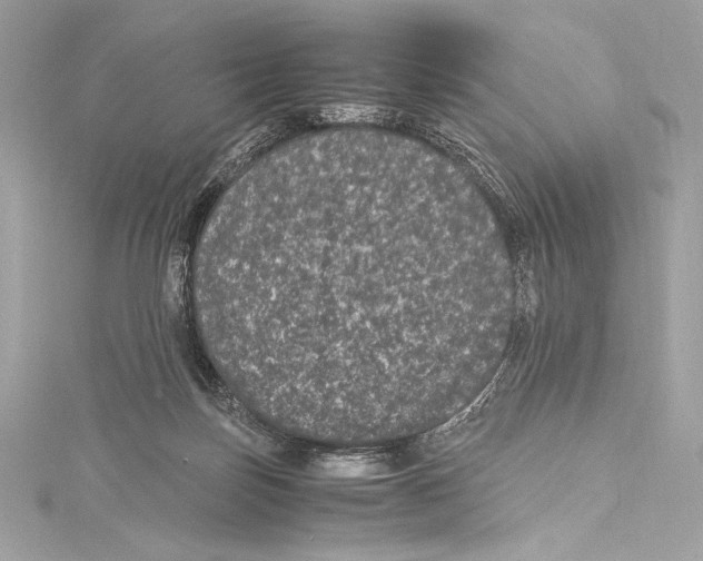 X0000115340171200911301555