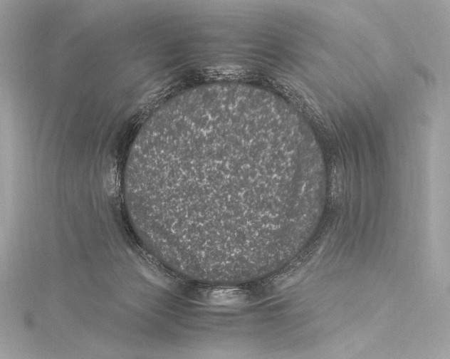 X0000115340173200911301555