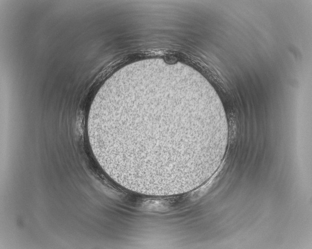 X0000115340174200911301555