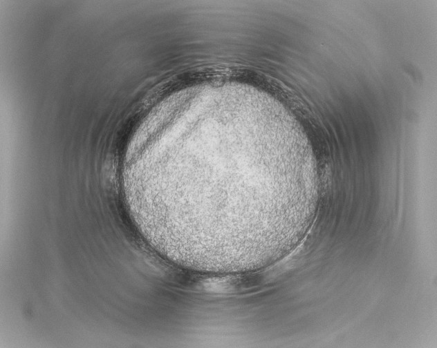 X0000115340178200911301555