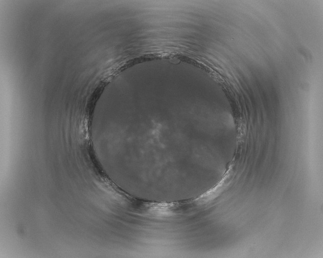 X0000115340182200911301555