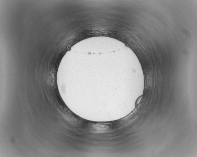 X0000115340183200911301555