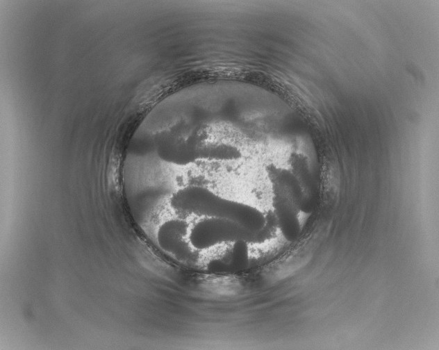 X0000115340185200911301555