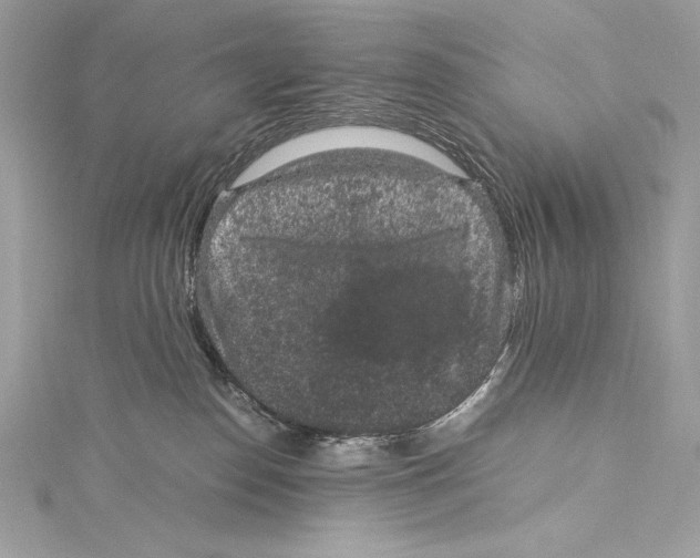 X0000115340186200911301555