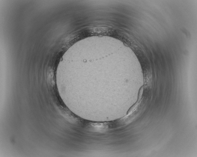 X0000115340187200911301555