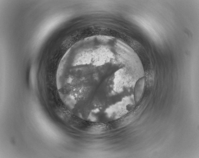 X0000115340189200911301555