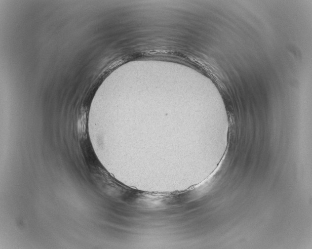 X0000115340190200911301555