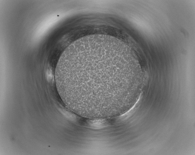 X0000115340191200911301555