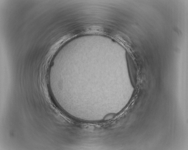 X0000115340193200911301554