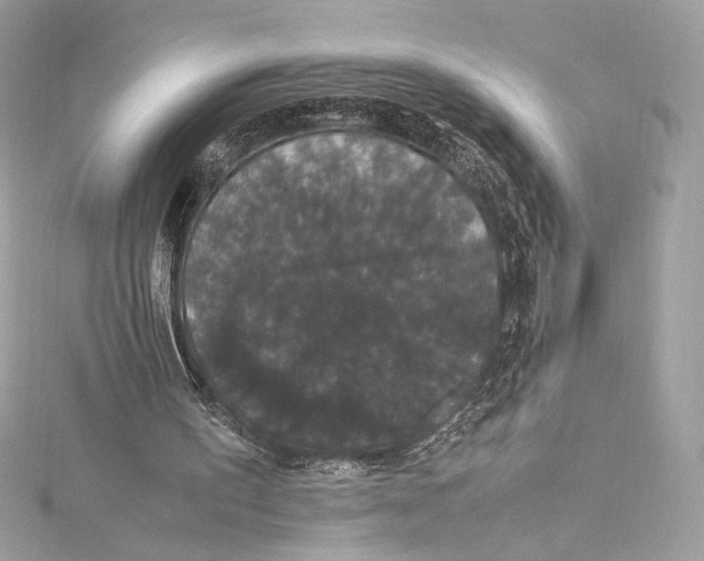 X0000115340195200911301554