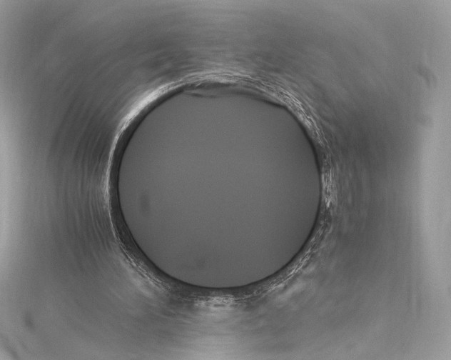 X0000115340196200911301554