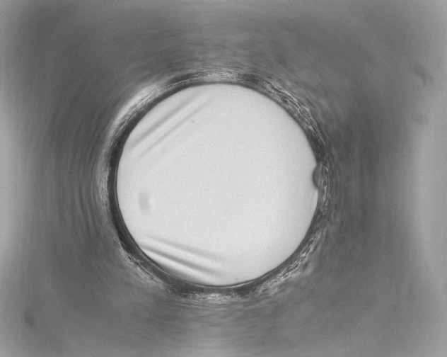 X0000115340197200911301554