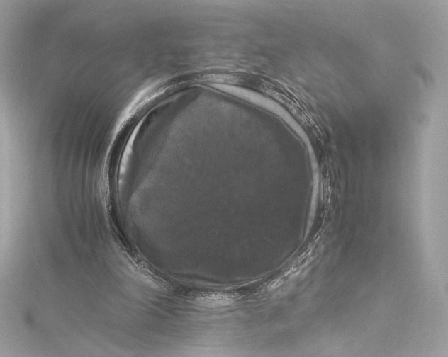 X0000115340198200911301554