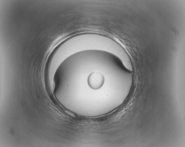 X0000115340199200911301554