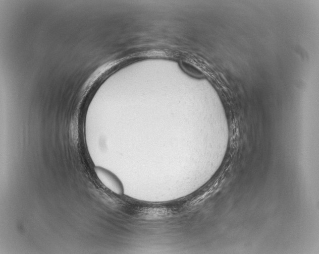 X0000115340200200911301554