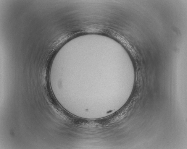 X0000115340201200911301554