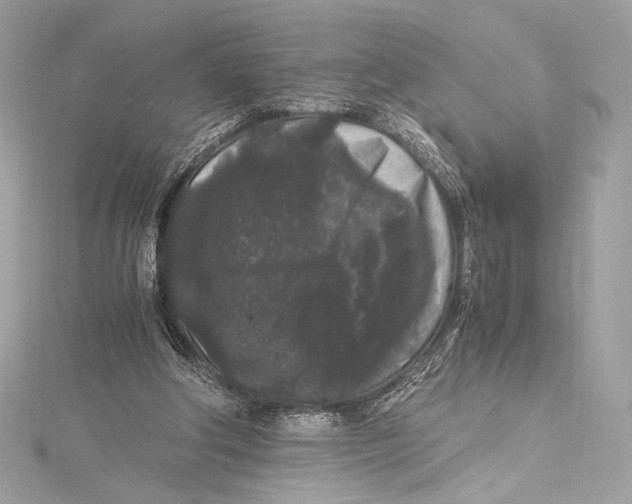 X0000115340202200911301554