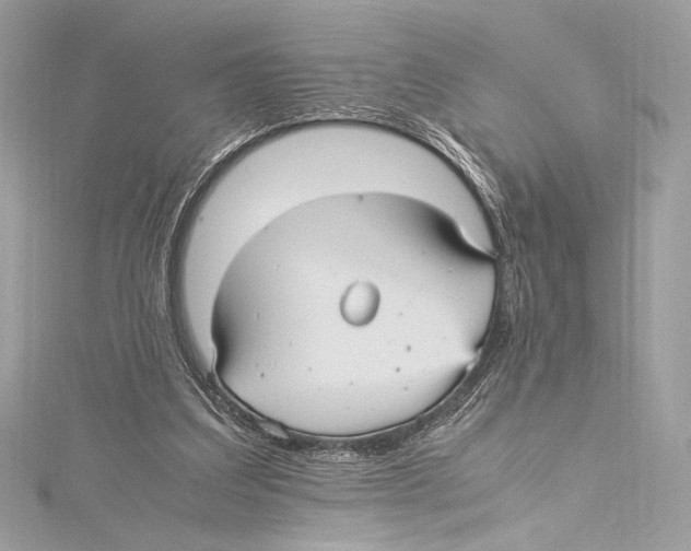 X0000115340203200911301554