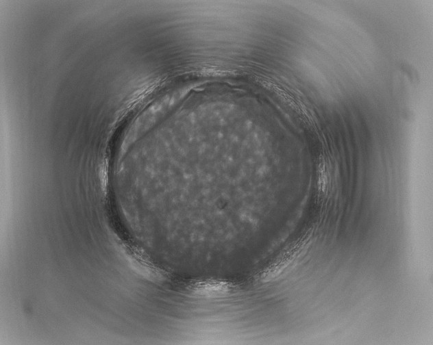 X0000115340206200911301554