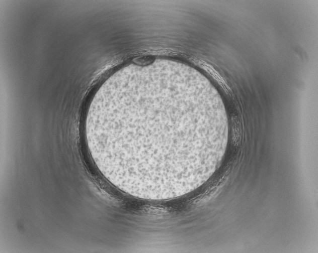 X0000115340207200911301554