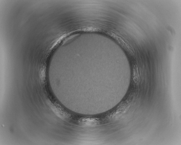 X0000115340208200911301554