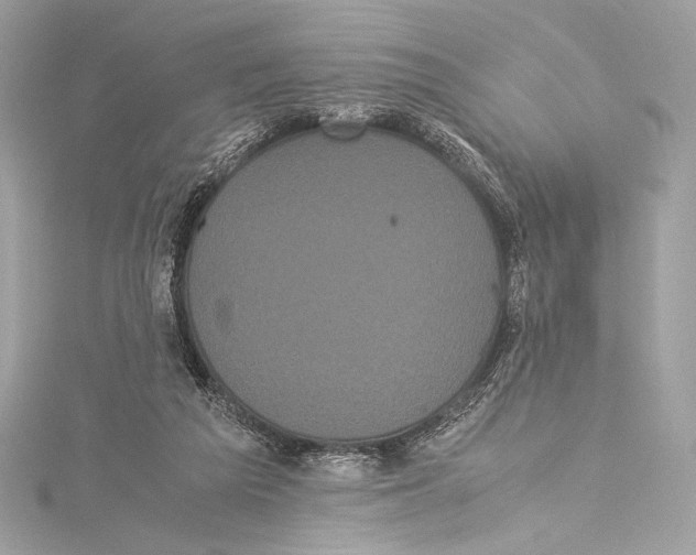 X0000115340209200911301554