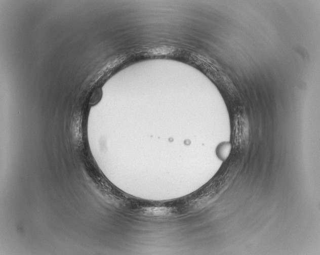 X0000115340212200911301554