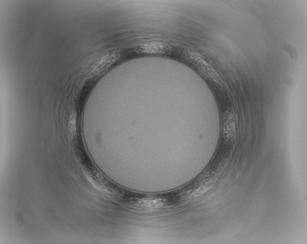 X0000115340213200911301554