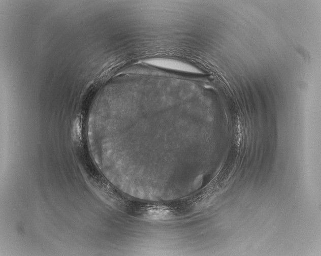 X0000115340214200911301554