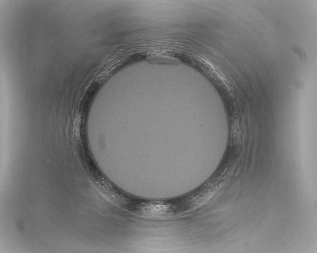 X0000115340217200911301554