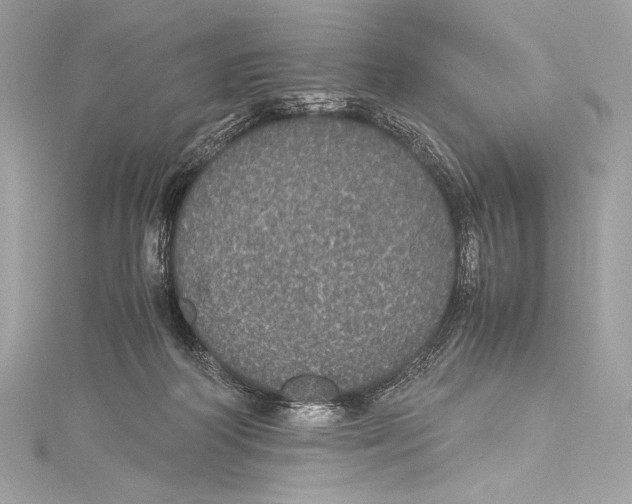 X0000115340218200911301554