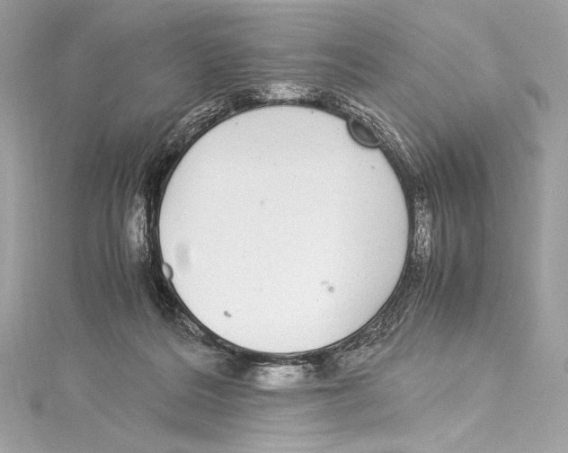 X0000115340220200911301554