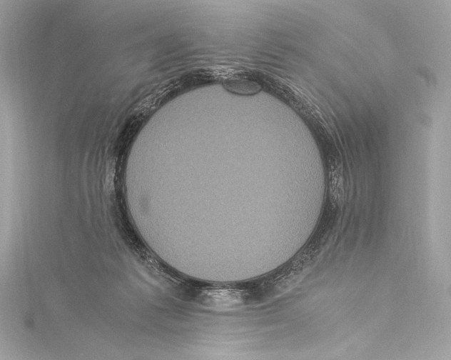 X0000115340221200911301554