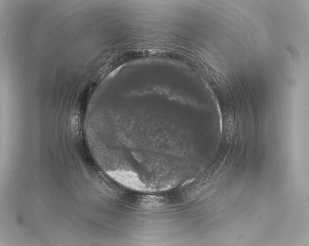 X0000115340222200911301554