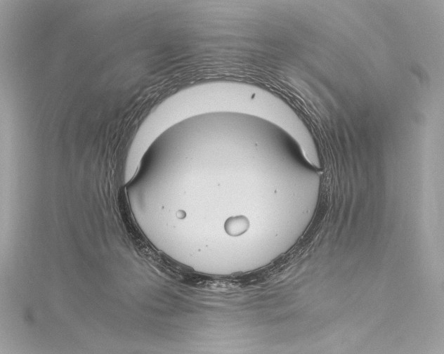 X0000115340223200911301554