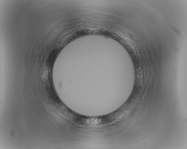 X0000115340225200911301554