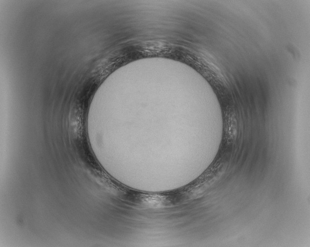 X0000115340226200911301554