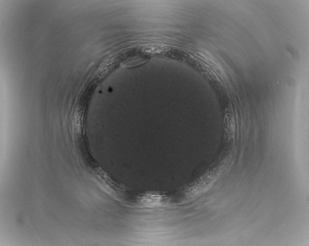 X0000115340227200911301554