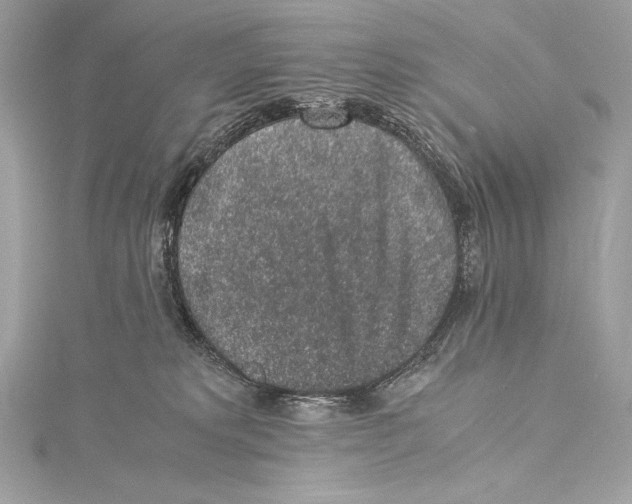 X0000115340229200911301554