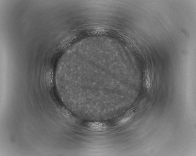 X0000115340230200911301554