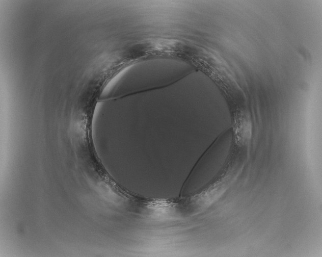 X0000115340231200911301554