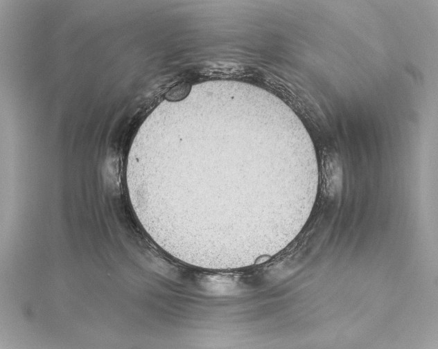 X0000115340232200911301554