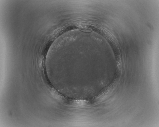 X0000115340233200911301554