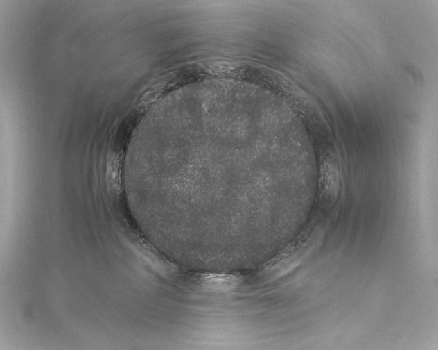 X0000115340234200911301554